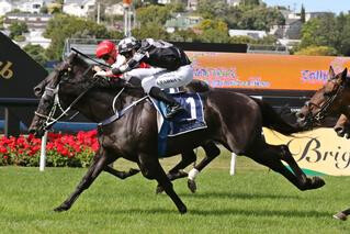 Last year's Karaka Cup victor, Five to Midnight (NZ) (Domesday).